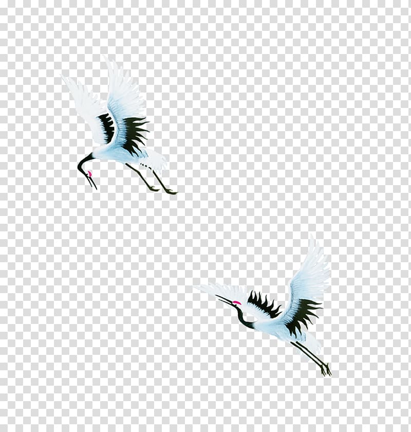 Bird Crane Swan goose, Crane transparent background PNG clipart