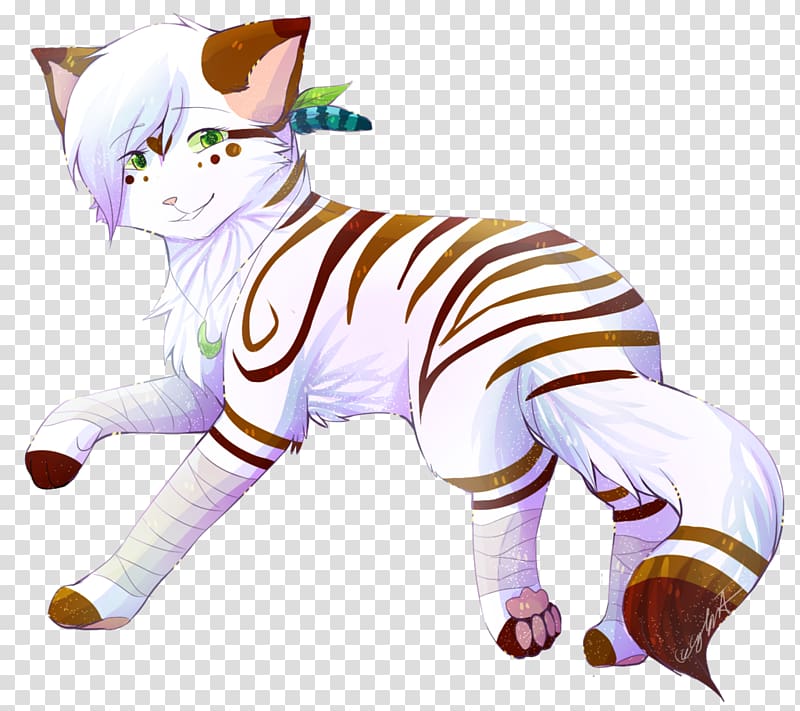 Cat Whiskers Tigerstar Warriors, Cat transparent background PNG clipart