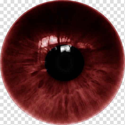 Human eye Iris Lens Color, dente transparent background PNG clipart