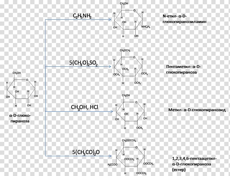 Cellulose Glucose Carbohydrate Esterification Chemistry, subtilis transparent background PNG clipart