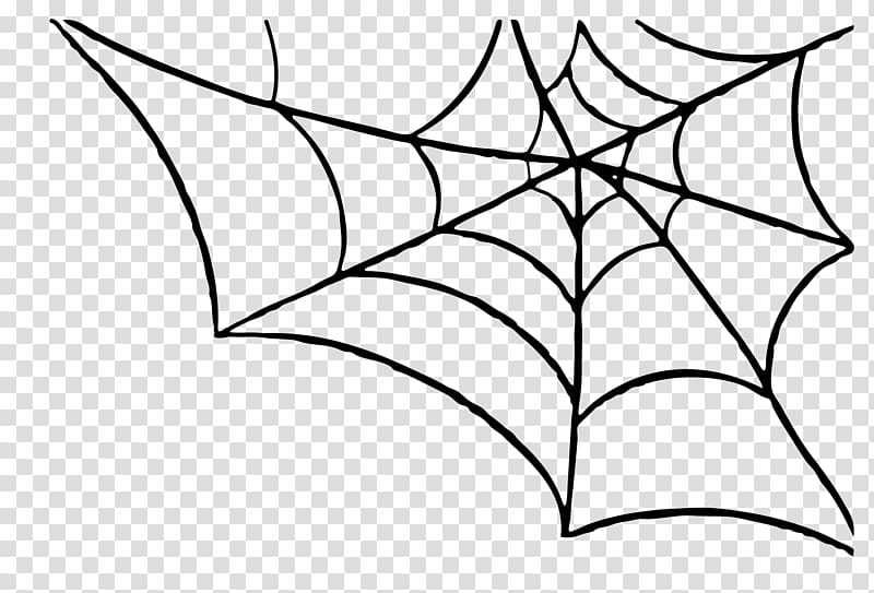 Spider web , Spider Web transparent background PNG clipart