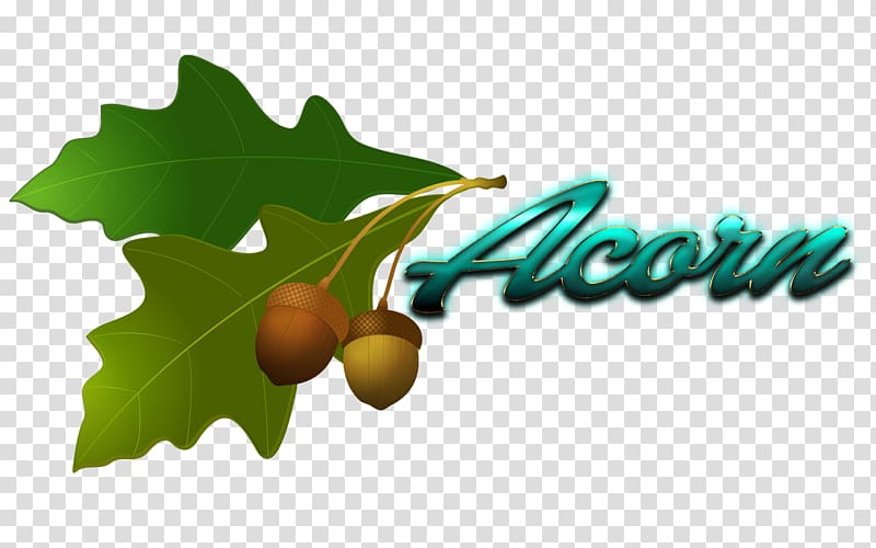 , acorn transparent background PNG clipart
