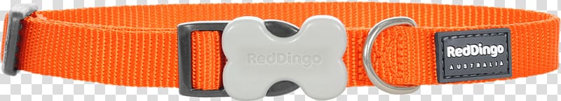 Dog Dingo Cat Collar Leash, red collar dog transparent background PNG clipart
