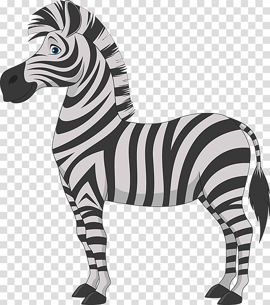 Zebra Cartoon , zebra transparent background PNG clipart