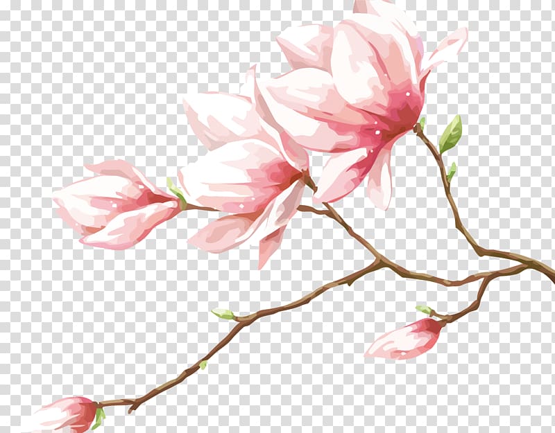 pink petaled flower , Petal Flower, Peach Blossom transparent background PNG clipart