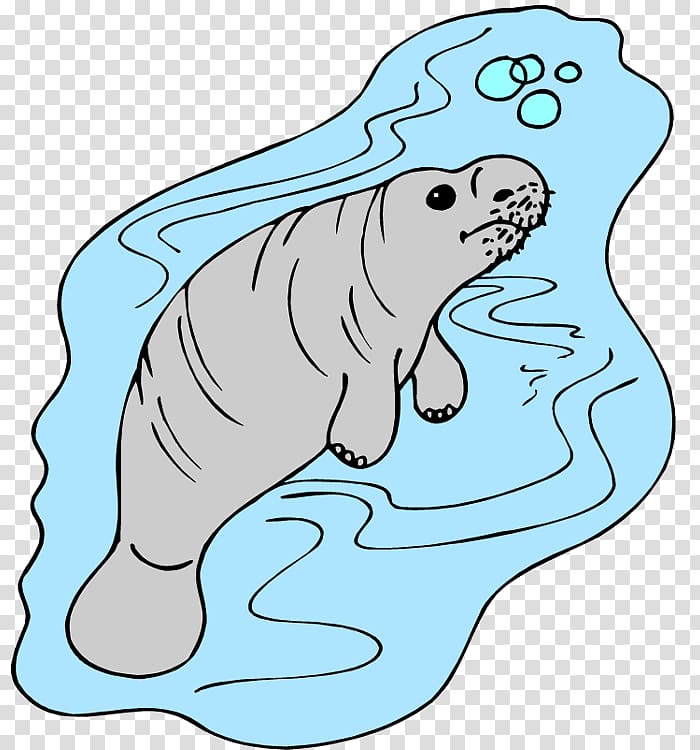 West Indian manatee African manatee Coloring book , others transparent background PNG clipart