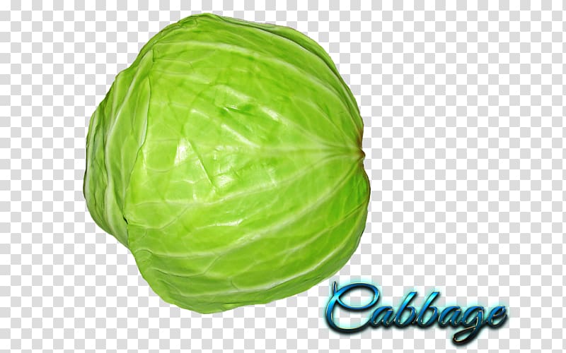 Capitata Group Vegetable , vegetable transparent background PNG clipart