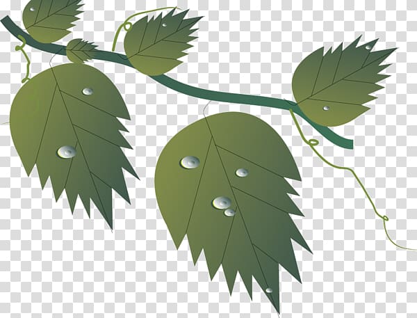 Twig Leaf Déjà vu, Leaf transparent background PNG clipart