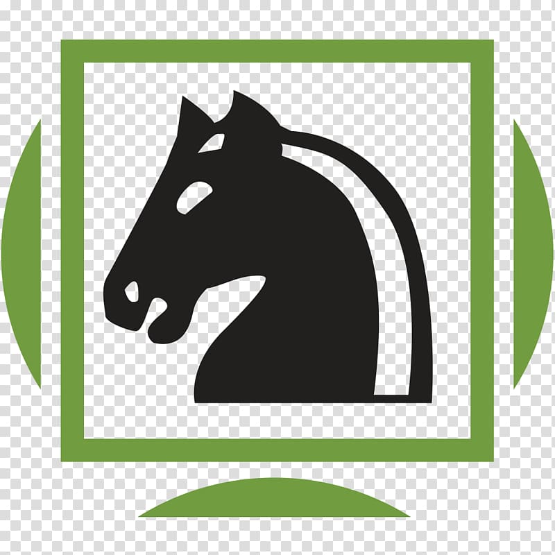 Mustang Pony Email Chess Dog, study chess openings transparent background PNG clipart