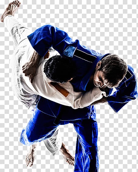 Brazilian jiu-jitsu Mixed martial arts Jujutsu Muay Thai, mixed martial arts transparent background PNG clipart