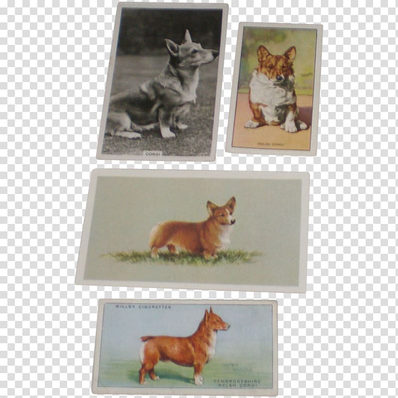 Dog breed Frames Tail, Dog transparent background PNG clipart