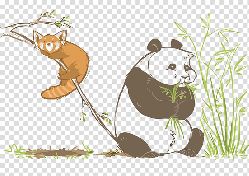 Giant panda Red panda graphics, bamboo, mammal, cat Like Mammal png