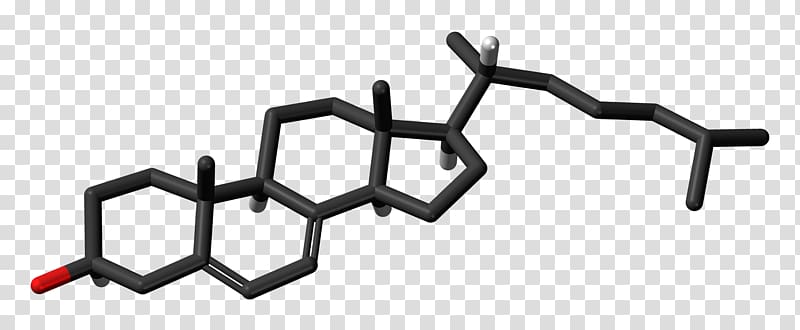 Cortisol Estradiol Steroid hormone Follicle-stimulating hormone, others transparent background PNG clipart