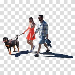 people walking dog png