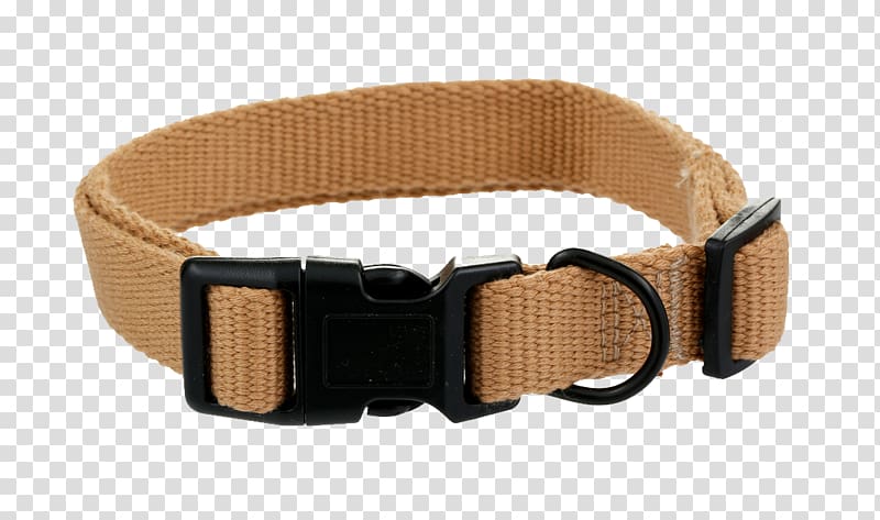 Dog collar transparent background PNG clipart