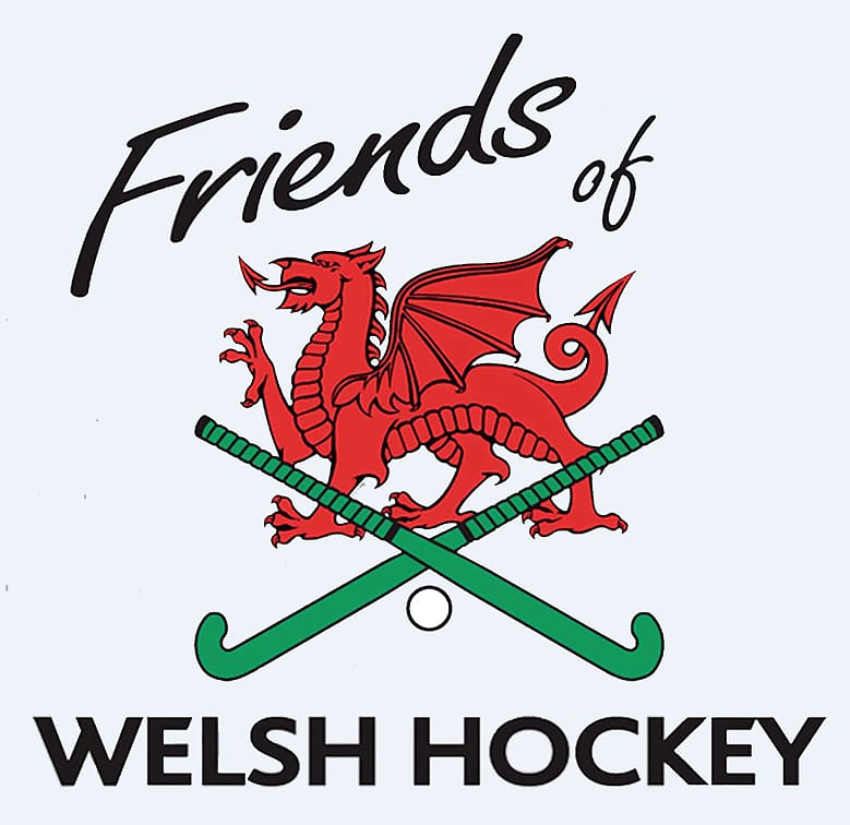 Hockey Wales Field hockey Ice hockey , Animated Hockey transparent background PNG clipart