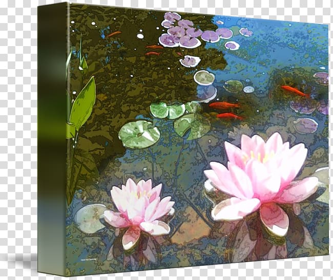 Aquatic Plants Pond Petal Flower Painting, pond transparent background PNG clipart