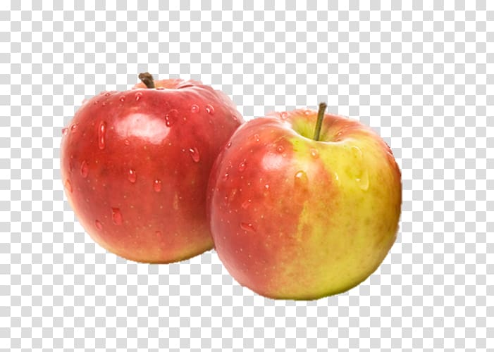 McIntosh Jonagold Apple Elstar Belle de Boskoop, apple transparent background PNG clipart
