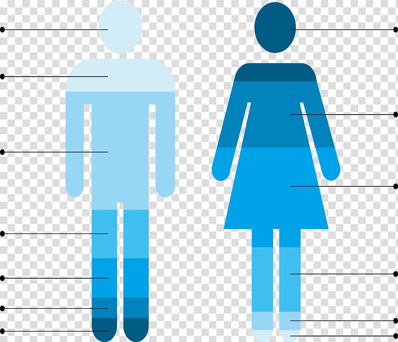 Public toilet Female Bathroom, Business material transparent background PNG clipart