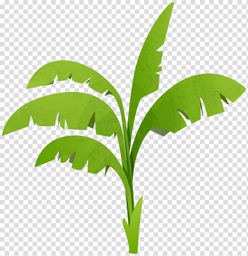 green banana plant , Plants vs. Zombies 2: It\'s About Time Plants vs. Zombies Heroes , Green Plant transparent background PNG clipart