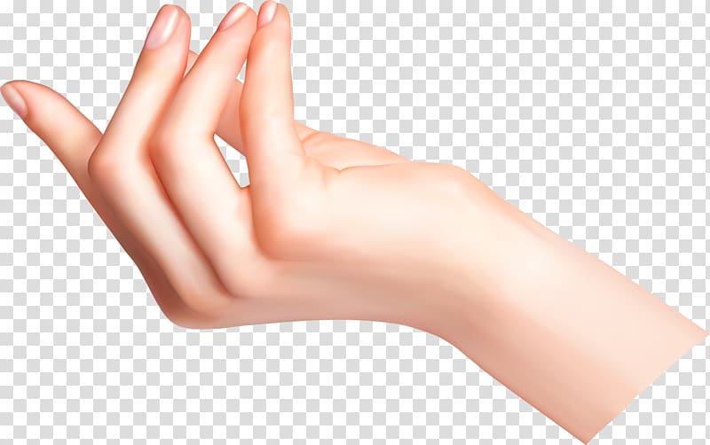 Upper limb Hand Arm , fingers transparent background PNG clipart