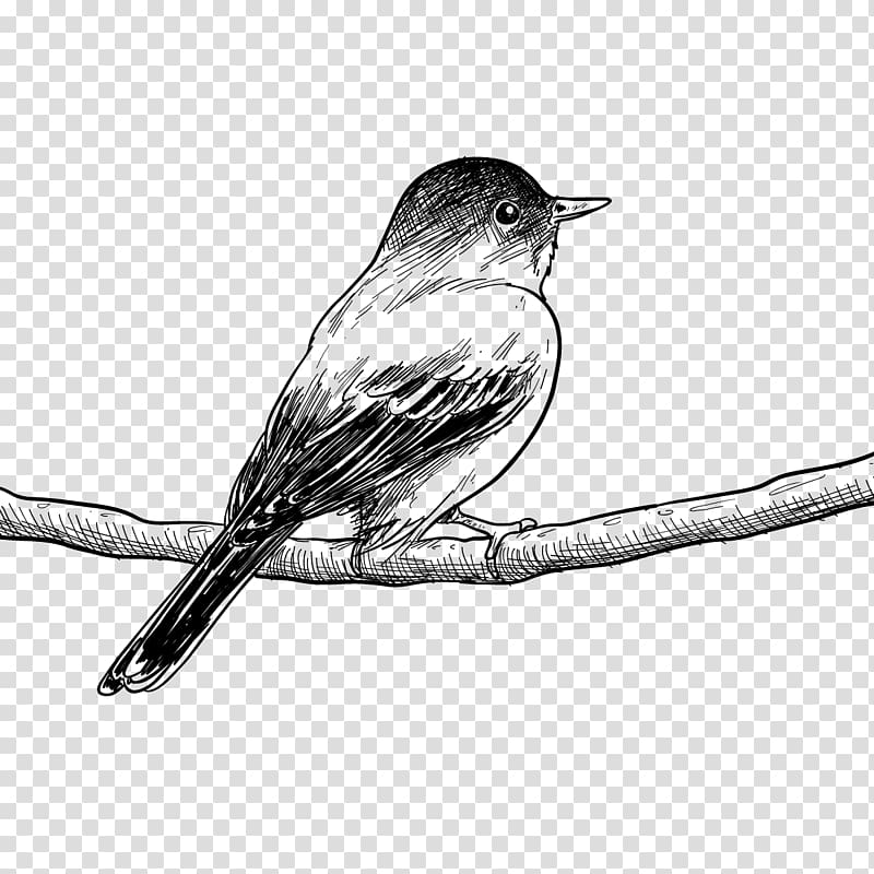Bird sitting on a tree branch. Ink black and... - Stock Illustration  [77044166] - PIXTA