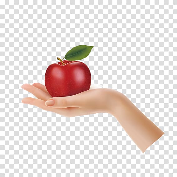 Apple Hand , Satisfy Apple transparent background PNG clipart