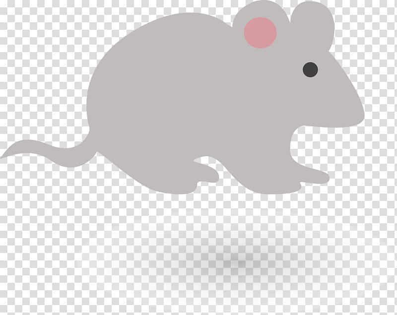 Rat Euclidean Drawing Illustration, hand-painted mouse transparent background PNG clipart