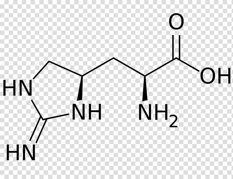 Dietary supplement Leucine Cysteine Amino acid Alanine, others transparent background PNG clipart