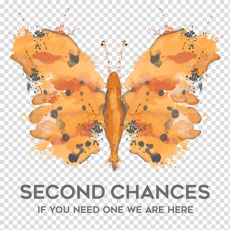 Butterfly Counseling psychology Health insurance Family therapy Second Chances Counseling, butterfly transparent background PNG clipart
