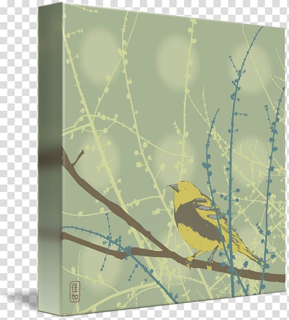 Gallery wrap Bird Canvas Twig Fauna, spring buds transparent background PNG clipart