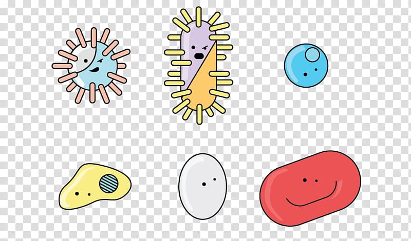Bacteria Flagellum Antimicrobial resistance 16S ribosomal RNA , cartoon child transparent background PNG clipart