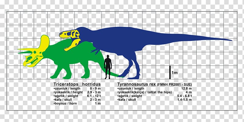 Tyrannosaurus Triceratops Spinosaurus Tarbosaurus Giganotosaurus, Tyrannosaurus transparent background PNG clipart