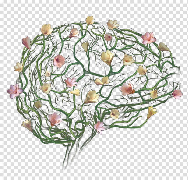 Floral design Agy, Creative human brain transparent background PNG clipart
