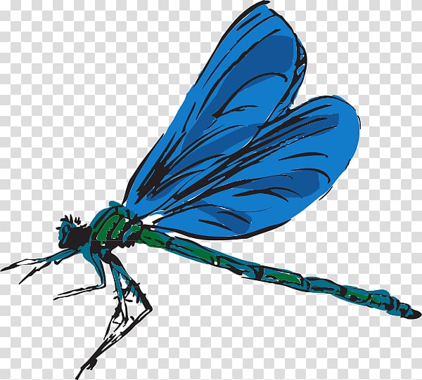 Free content , Free Dragonfly transparent background PNG clipart
