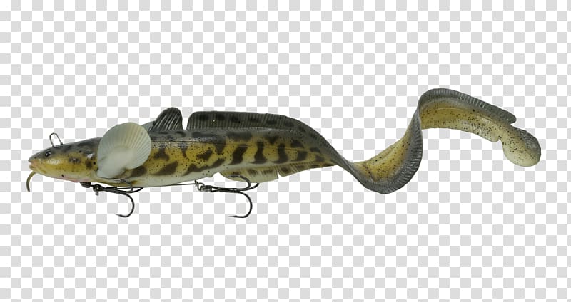 Fishing Baits & Lures Northern pike Swimbait Burbot, Fishing transparent  background PNG clipart