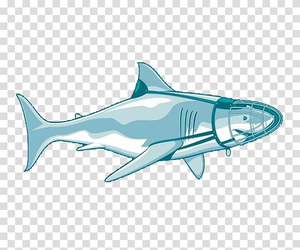 Tiger shark Illustration, Simple blue shark illustration transparent background PNG clipart