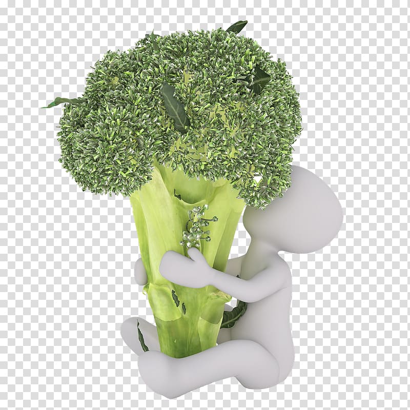 Broccoli Food Dietary fiber Vegetable Vitamin, broccoli transparent background PNG clipart