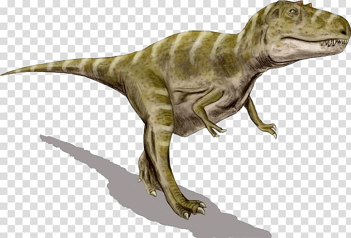 Gorgosaurus Albertosaurus Tyrannosaurus Agujaceratops Dinosaur, dinosaur transparent background PNG clipart