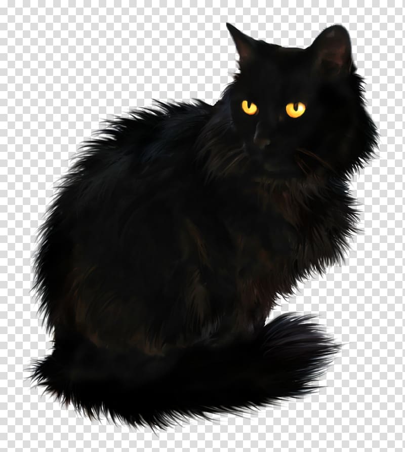 Persian cat British Longhair Kitten Black cat, long-haired transparent background PNG clipart