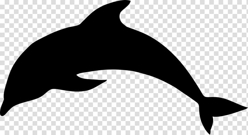 Silhouette Dolphin , Silhouette transparent background PNG clipart