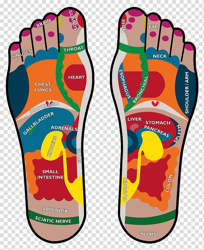Podalgia Reflexology Foot Human body Health, health transparent background PNG clipart