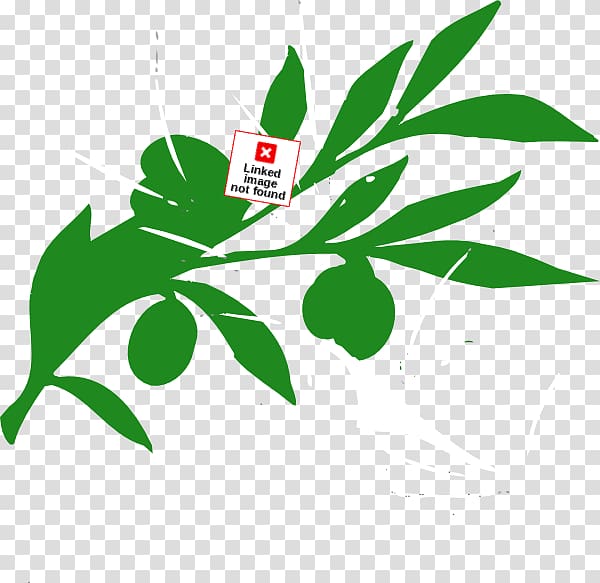 Leaf Oren\'s Hummus Shop Tree Plant stem , Leaf transparent background PNG clipart