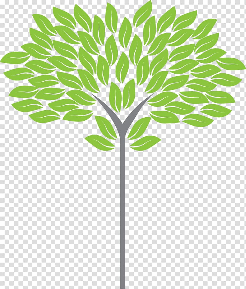 KAGC Ecology 3rd Annual Asia Pacific Smart Cities Forum National Green Corps Natural environment, tree top view transparent background PNG clipart