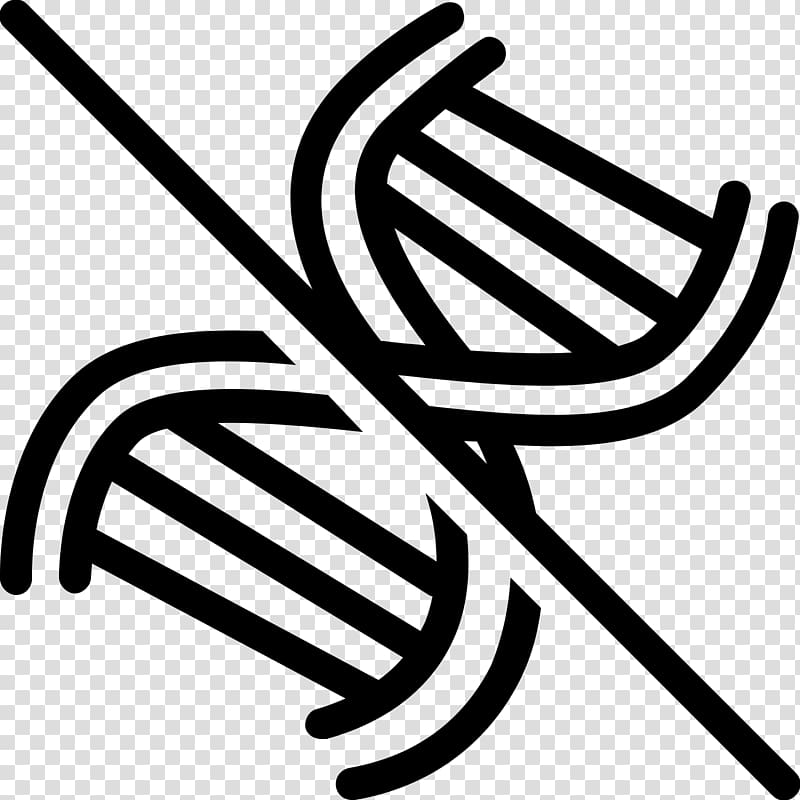 DNA computing Nucleic acid double helix Computer Icons Genetically modified organism, transparent background PNG clipart