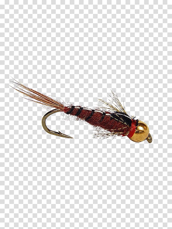 Insect Artificial fly Bead Fishing Baits & Lures, insect transparent background PNG clipart