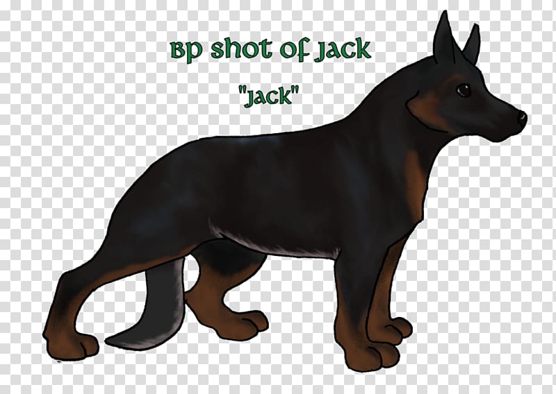 Ormskirk terrier German Shepherd Australian Kelpie Manchester Terrier Kunming wolfdog, new year's dog comes to pay new year's call! transparent background PNG clipart