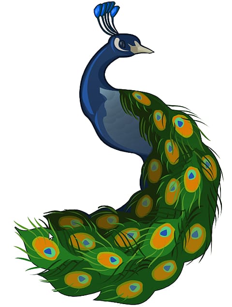 T-shirt Peafowl Cartoon , Peacock transparent background PNG clipart