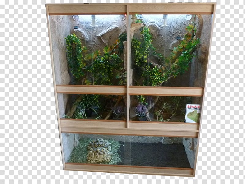 Vivarium Terrarium Reptile Cage Chinese water dragon, others transparent background PNG clipart