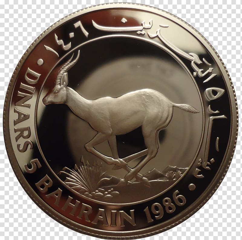 Silver coin Silver coin Goitered gazelle Gazella subgutturosa marica, gazelle transparent background PNG clipart